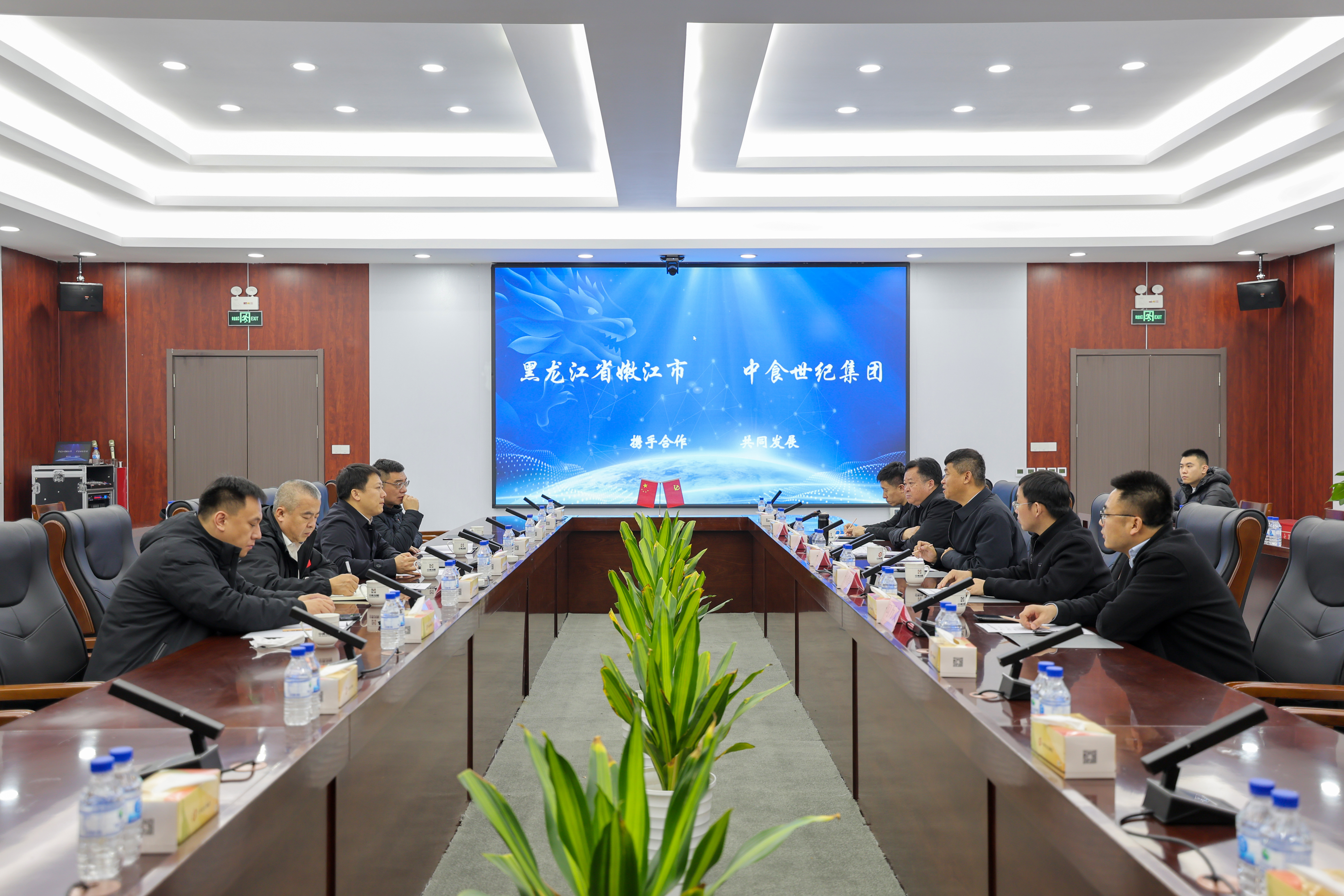 王文亮与嫩江市委副书记、市长孙建龙在京举行工作会谈，嫩江市常务副市长卜学强，集团总经理苏德库参加会谈